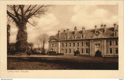 CPA Feldposkarte CHAULNES Schloss (807232)