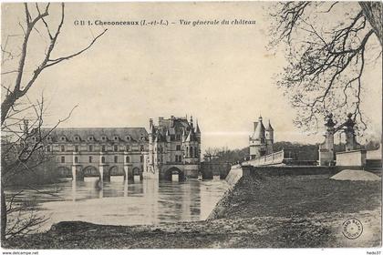 Chenonceaux - Vue générale du Château