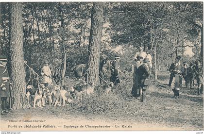 CLERE LES PINS - Chasse à Courre, Equipage Champchevrier