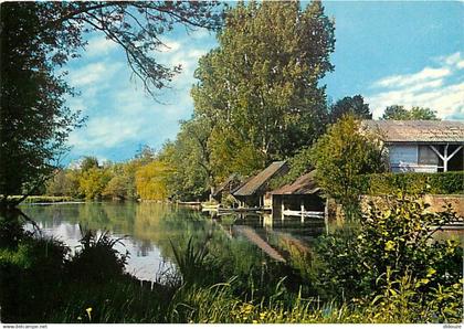 28 - Cloyes sur le Loir - Les bords du Loir - CPM - Voir Scans Recto-Verso