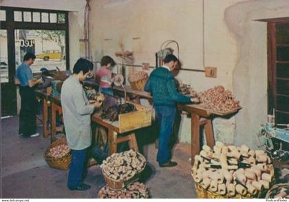 Cogolin French Smoking Tobacco Making Pipe Pipes Old Factory Postcard