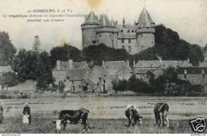 35 - Combourg - Chateau et paturage