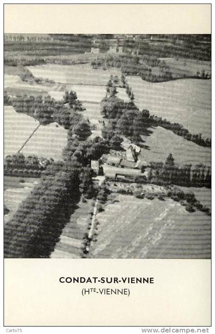 Condat sur Vienne 87 - Vue aérienne Château Domaine