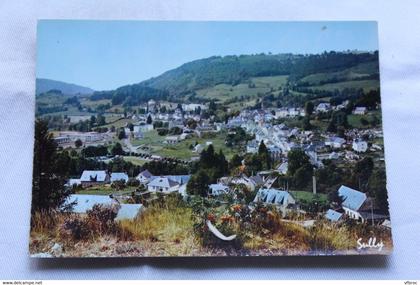 Cpm, Condat en Feniers, vue générale, Cantal 15