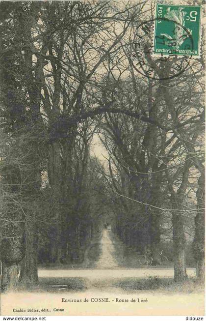 58 - Cosne Cours sur Loire - environs de Cosne - Route de léré - CPA - Voir Scans Recto-Verso