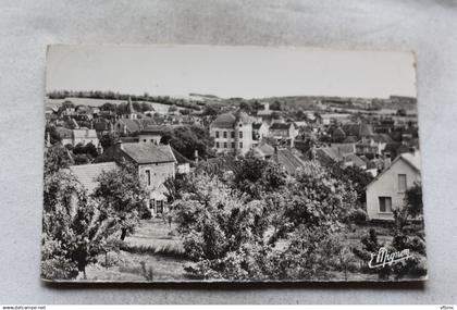 Cpsm, Courson les Carrières, panorama, Yonne 89