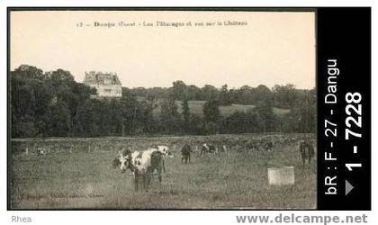 27 Dangu - 13 - Dangu (Eure) - Les Pâturages et vue sur le Château - chateau - chateau vache  /  D27D  K27284K  C27199C