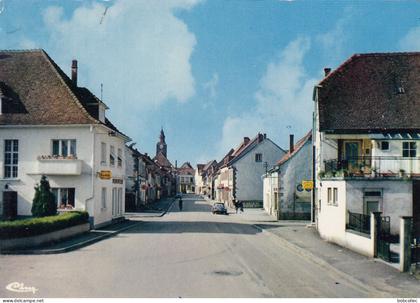 DIEMERINGEN (Bas-Rhin): La Grande Rue