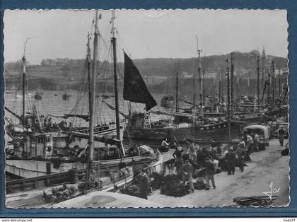 Douarnenez - Le Port de pêche