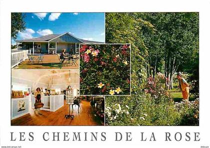 49 - Doué la Fontaine - Les chemins de la Rose - Multivues - Fleurs - CPM - Voir Scans Recto-Verso