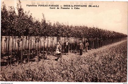 CPA PEPINIERES PINEAU-PARAGE - DOUÉ-la-FONTAINE (165196)