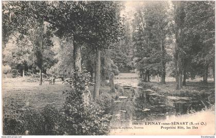 CPA Carte postale France Épinay-sous-Sénart  Propriété Ritt les iles 1907 VM62770