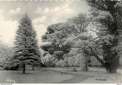 22 - Etables sur Mer - Le Jardin public - CPSM grand format - Voir Scans Recto-Verso