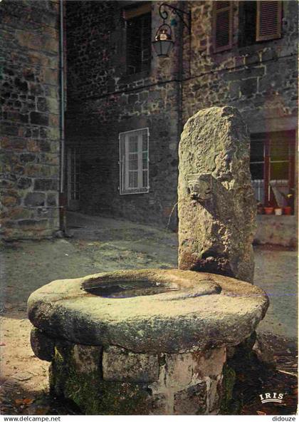 87 - Eymoutiers - Vieille fontaine - CPM - Voir Scans Recto-Verso