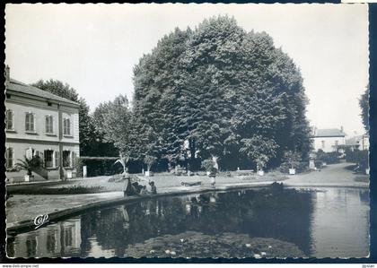 cpsm du 42 Feurs -- le parc     LANR81