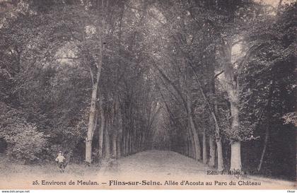 FLINS SUR SEINE(ARBRE)