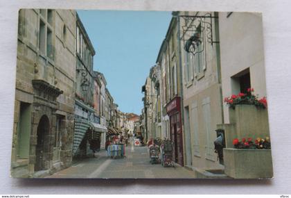 Cpm, Fontenay le Comte, rue des loges, rue piétonne, Vendée 85