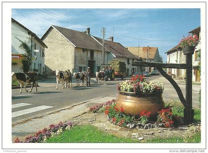 cp, Franche Comté, Retour des Pâturages, Chaudron à fromage, écrite