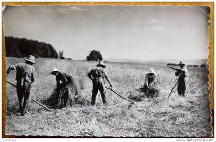 cpsm En Franche Comté - La Moisson