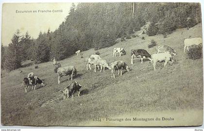 PÂTURAGES DES MONTAGNES DU DOUBS - EXCURSION EN FRANCHE-COMTÉ