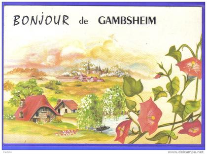 carte postale 67. Gambsheim   trés beau plan