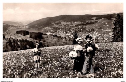 Gerardmer - Station climatique