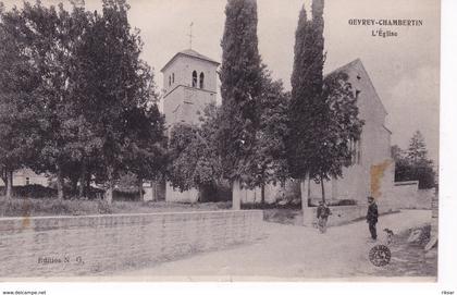 GEVREY CHAMBERTIN(ARBRE)