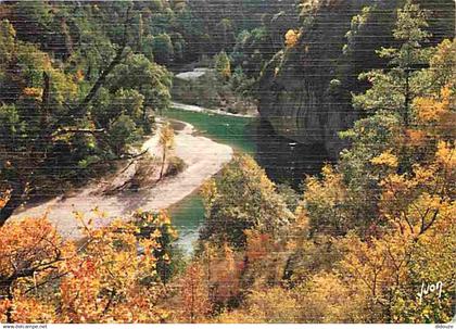 48 - Les Gorges du Tarn - Dans les Gorges - CPM - Voir Scans Recto-Verso