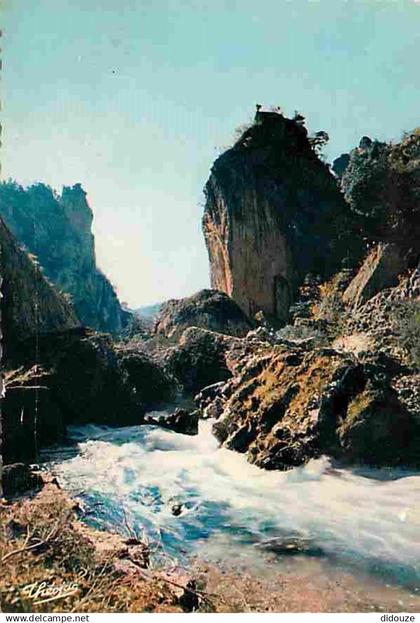 48 - Les Gorges du Tarn - Le Pas du Soucy - CPM - Voir Scans Recto-Verso