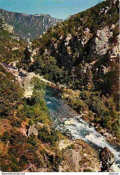 48 - Les Gorges du Tarn - Le Pas du Soucy - CPM - Voir Scans Recto-Verso