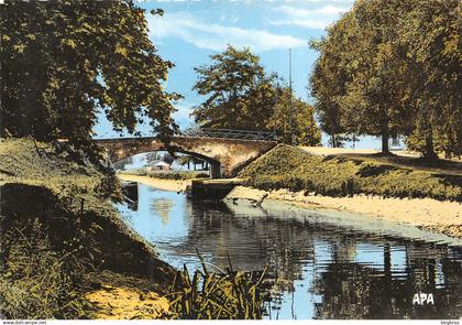 GRISOLLES    PONT DU CANAL