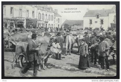 44 Guérande GUERANDE Le Marché aux boeufs marche bestiaux boeuf    D44D  K44069K  C44069C RH015090