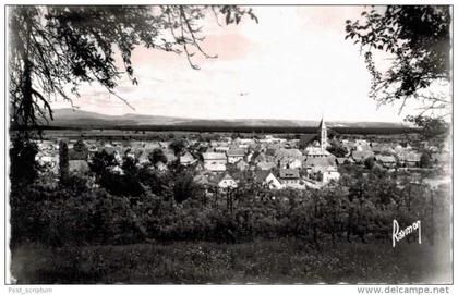 Habsheim vue générale