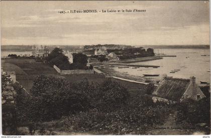 CPA ILE-aux-MOINES La Lairio et Bois dAMour (144865)