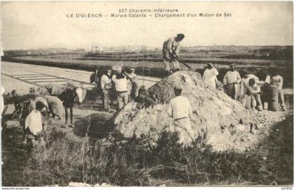 Ile d Oleron - Marais Salants