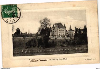 CPA JALLIEU - Chateau de Petit-Mont (296252)