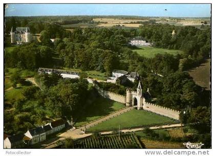 L'île Bouchard entrée du château vue aérienne (37)