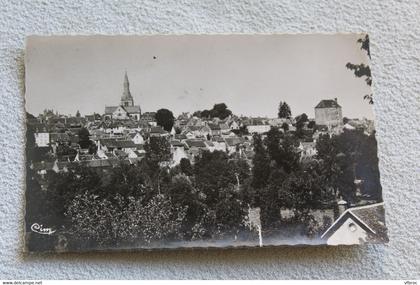 Cpsm, la Chatre, vue générale, Indre 36