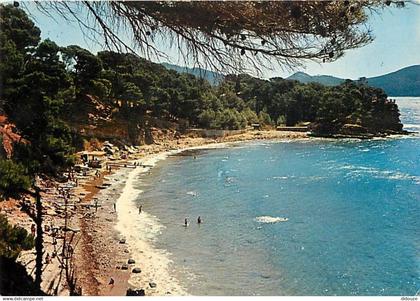 13 - La Ciotat - La Calanque du Liouquet - Scènes de Plage - Flamme Postale de La Ciotat - CPM - Voir Scans Recto-Verso