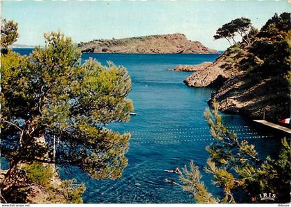 13 - La Ciotat - La Calanque du Petit Mugel et l'Ile Verte - Flamme Postale de La Ciotat - CPM - Voir Scans Recto-Verso