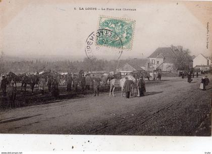 LA LOUPE LA FOIRE AUX CHEVAUX