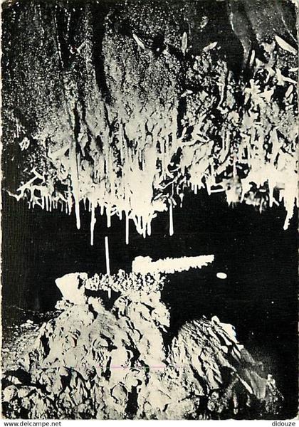 46 - Lacave - Grottes de Lacave - Excentriques en lumière noire - Spéléologie - Carte dentelée - CPSM grand format - Voi