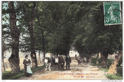 Carte Postale Ancienne de LAMARCHE