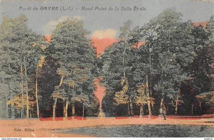 LE GAVRE  FORET