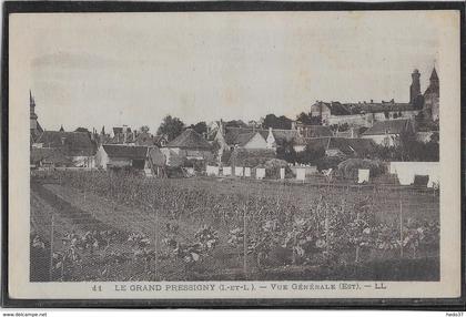 Le Grand Pressigny - Vue générale