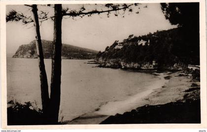 CPA Le LAVANDOU - Plage du Debarquement (106908)