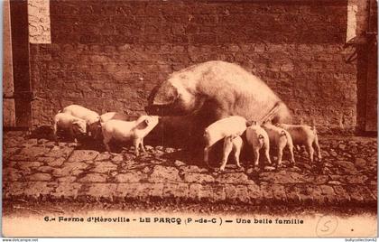 CPA -  SELECTION   -  LE PARCQ  -  Ferme d' Héroville . Une belle Famille (cochons)