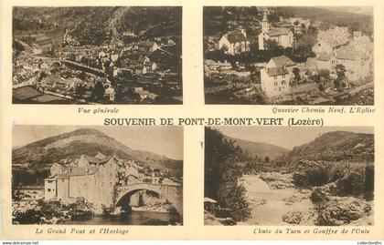 .CPA FRANCE  48 "Le Pont de Montvert, souvenir de Pont de Montvert"