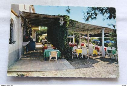 Cpm, le Pradet, auberge du vieux moulin, la terrasse au bord de mer, Var 83