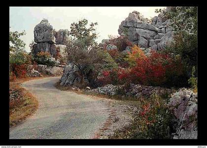 07 - Les Vans - Bois de Paiolive - en automne - CPM - Voir Scans Recto-Verso